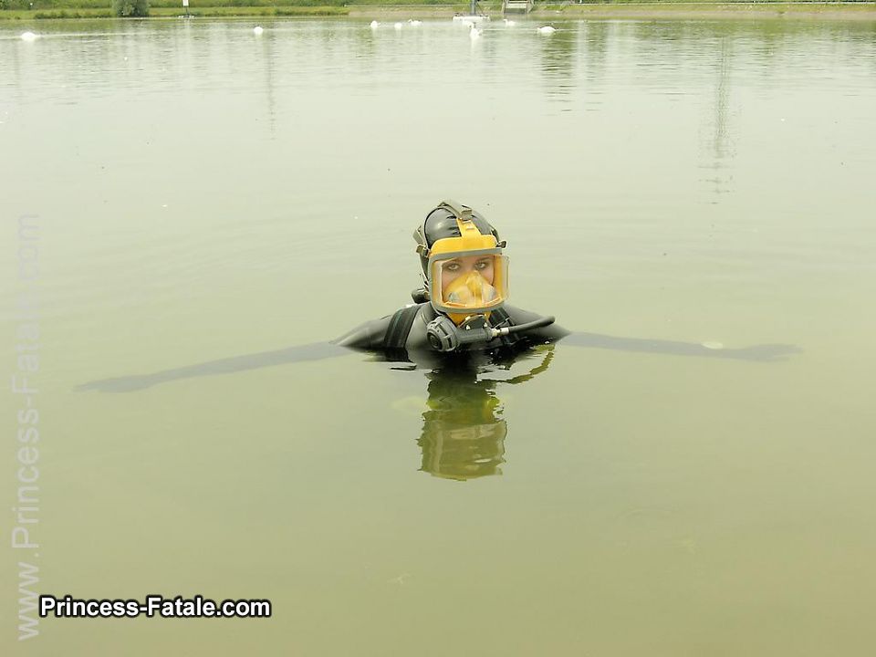 Dive In!