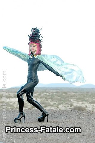 Leather Bird