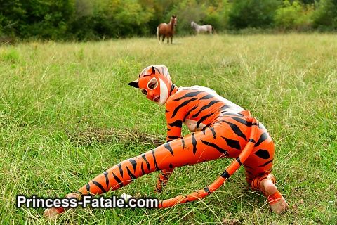 On the hunt