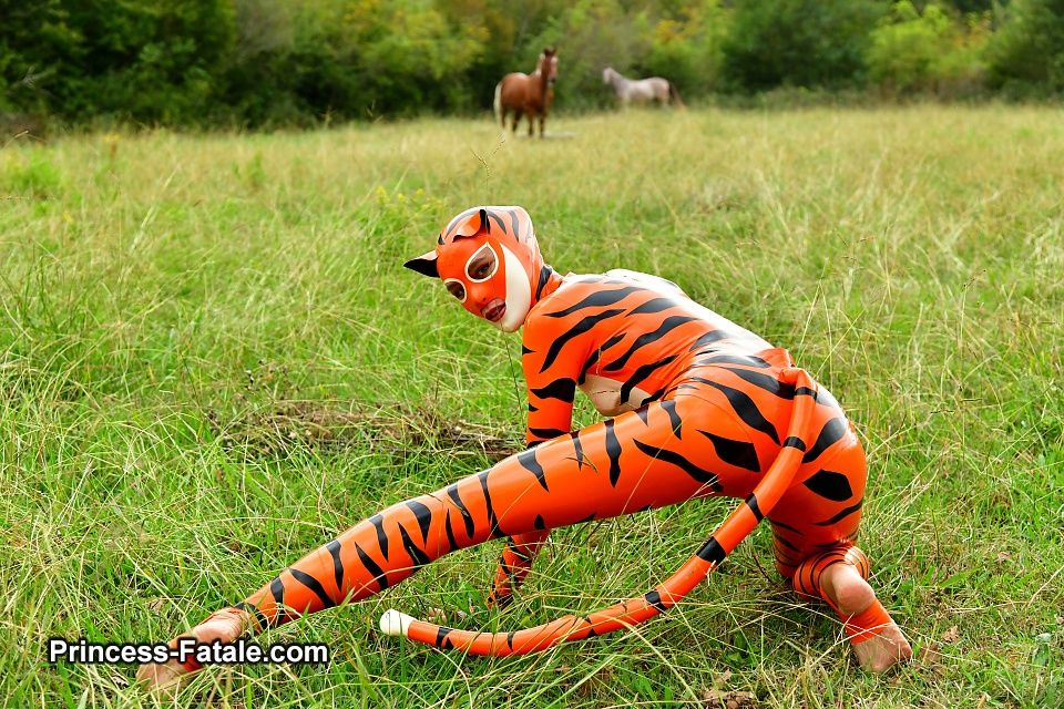 On the hunt